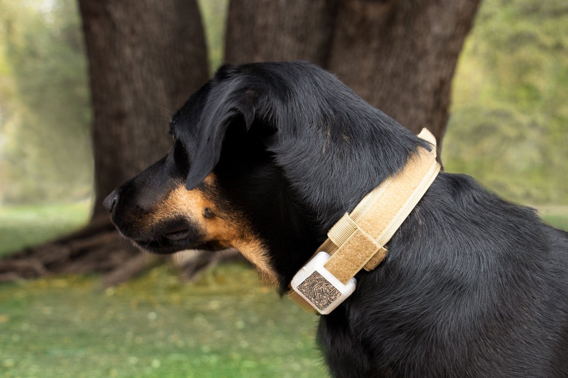 MotherBoxx Strapp Ed