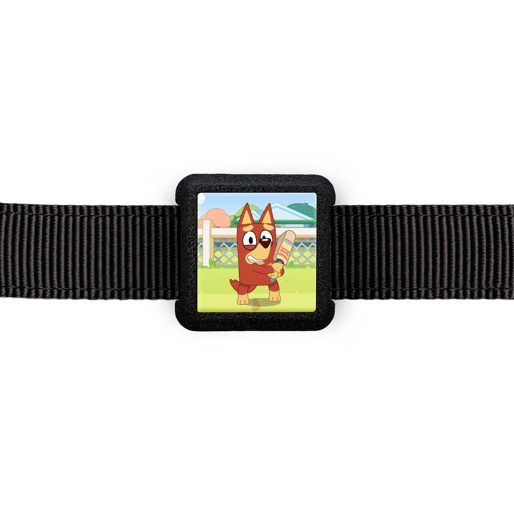 Slyderz- For Collars & Straps