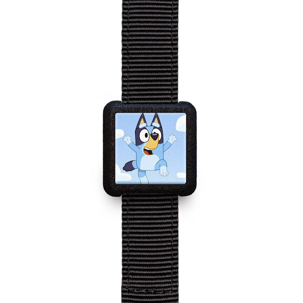 Slyderz- For Collars & Straps