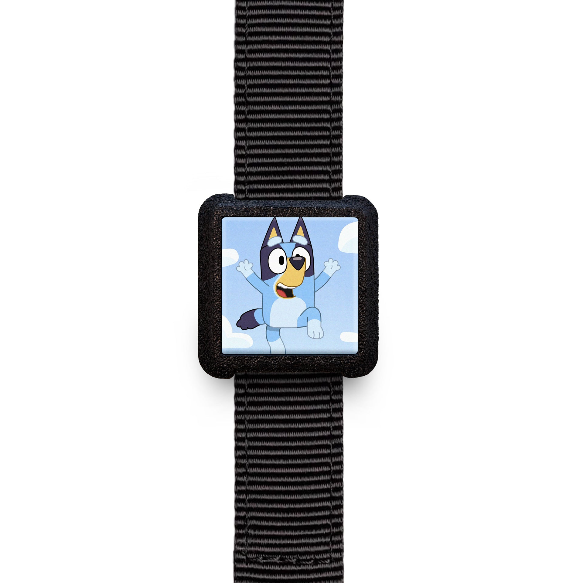 Slyderz- For Collars & Straps